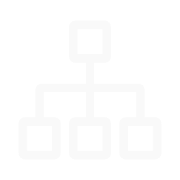 Organization Structure